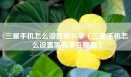 三星手机怎么设置黑名单（三星手机怎么设置黑名单在哪里）