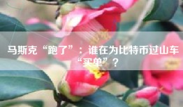 马斯克“跑了”：谁在为比特币过山车“买单”？