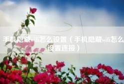 手机隐藏wifi怎么设置（手机隐藏wifi怎么设置连接）