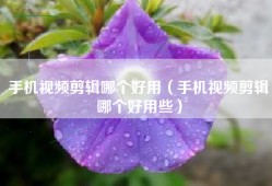 手机视频剪辑哪个好用（手机视频剪辑哪个好用些）