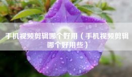 手机视频剪辑哪个好用（手机视频剪辑哪个好用些）