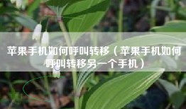 苹果手机如何呼叫转移（苹果手机如何呼叫转移另一个手机）
