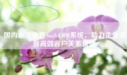 国内永久免费SaaS CRM系统，助力企业实现高效客户关系管理