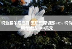 铜业股午后急升 五矿资源领涨4.02% 铜价明年或达12000美元