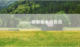 vmospro破解版永久会员