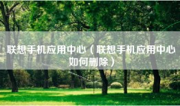 联想手机应用中心（联想手机应用中心如何删除）