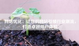 网站优化：让您的网站引领行业潮流，打造卓越用户体验