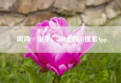周鸿祎出手，360上线AI搜索App