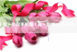 第一影院手机版（第一影视app安全吗）