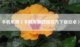 手机军棋（手机军棋四国官方下载安卓）