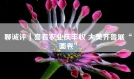 聊诚评｜喜看农业庆丰收 大美齐鲁展“画卷”