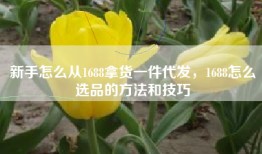 新手怎么从1688拿货一件代发，1688怎么选品的方法和技巧