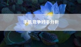 手机竞争对手分析