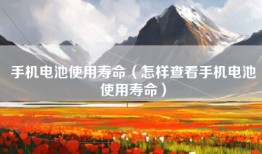 手机电池使用寿命（怎样查看手机电池使用寿命）