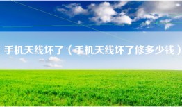 手机天线坏了（手机天线坏了修多少钱）