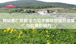 网站推广攻略,全方位步骤助您提升流量与品牌影响力