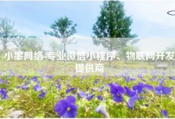 小墨网络-专业微信小程序、物联网开发提供商