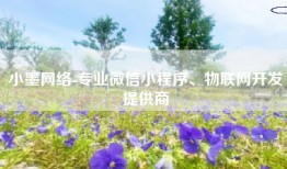 小墨网络-专业微信小程序、物联网开发提供商