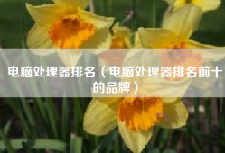 电脑处理器排名（电脑处理器排名前十的品牌）