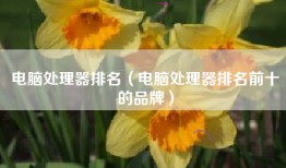电脑处理器排名（电脑处理器排名前十的品牌）