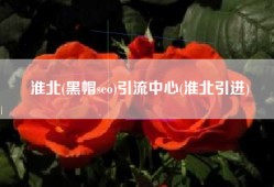 淮北(黑帽seo)引流中心(淮北引进)