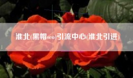 淮北(黑帽seo)引流中心(淮北引进)