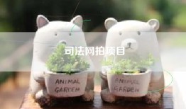 司法网拍项目