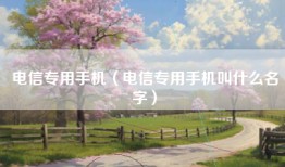电信专用手机（电信专用手机叫什么名字）