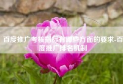百度推广考核指标有哪些方面的要求-百度推广排名机制