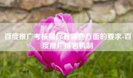 百度推广考核指标有哪些方面的要求-百度推广排名机制