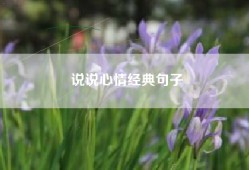 说说心情经典句子
