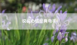 说说心情经典句子