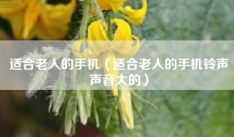 适合老人的手机（适合老人的手机铃声声音大的）