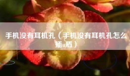 手机没有耳机孔（手机没有耳机孔怎么插u盾）