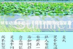 风车动漫手机app（风车动漫手机版下载）