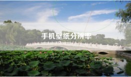 手机壁纸分辨率