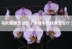 手机联通营业厅（下载手机联通营业厅）