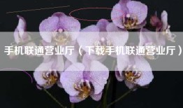 手机联通营业厅（下载手机联通营业厅）