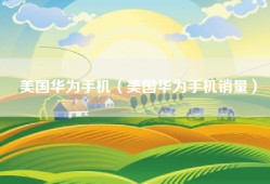 美国华为手机（美国华为手机销量）