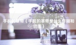 手机的基带（手机的基带是什么作用和功能）