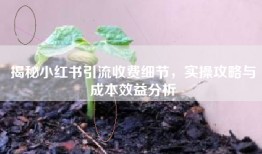 揭秘小红书引流收费细节，实操攻略与成本效益分析