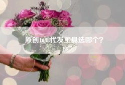 原创1688代发工具选哪个？