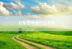 社群营销是什么东西