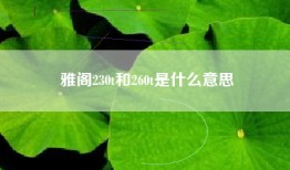 雅阁230t和260t是什么意思