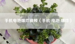 手机电池爆炸视频（手机 电池 爆炸）