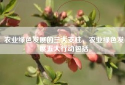 农业绿色发展的三大支柱，农业绿色发展五大行动包括