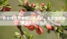 农业绿色发展的三大支柱，农业绿色发展五大行动包括