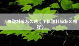 手机塑料膜怎么贴（手机塑料膜怎么贴好）
