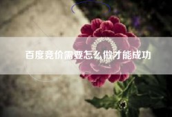 百度竞价需要怎么做才能成功