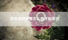 百度竞价需要怎么做才能成功